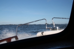 Vagskvalp