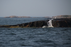 Vagskvalp2