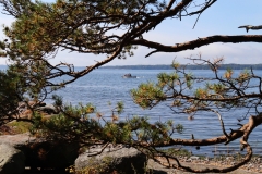 Båt-i-sikte