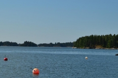 banner_snavs