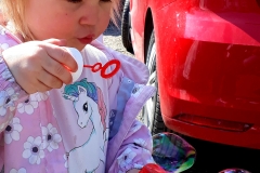 Brandsläckargranskning 2019